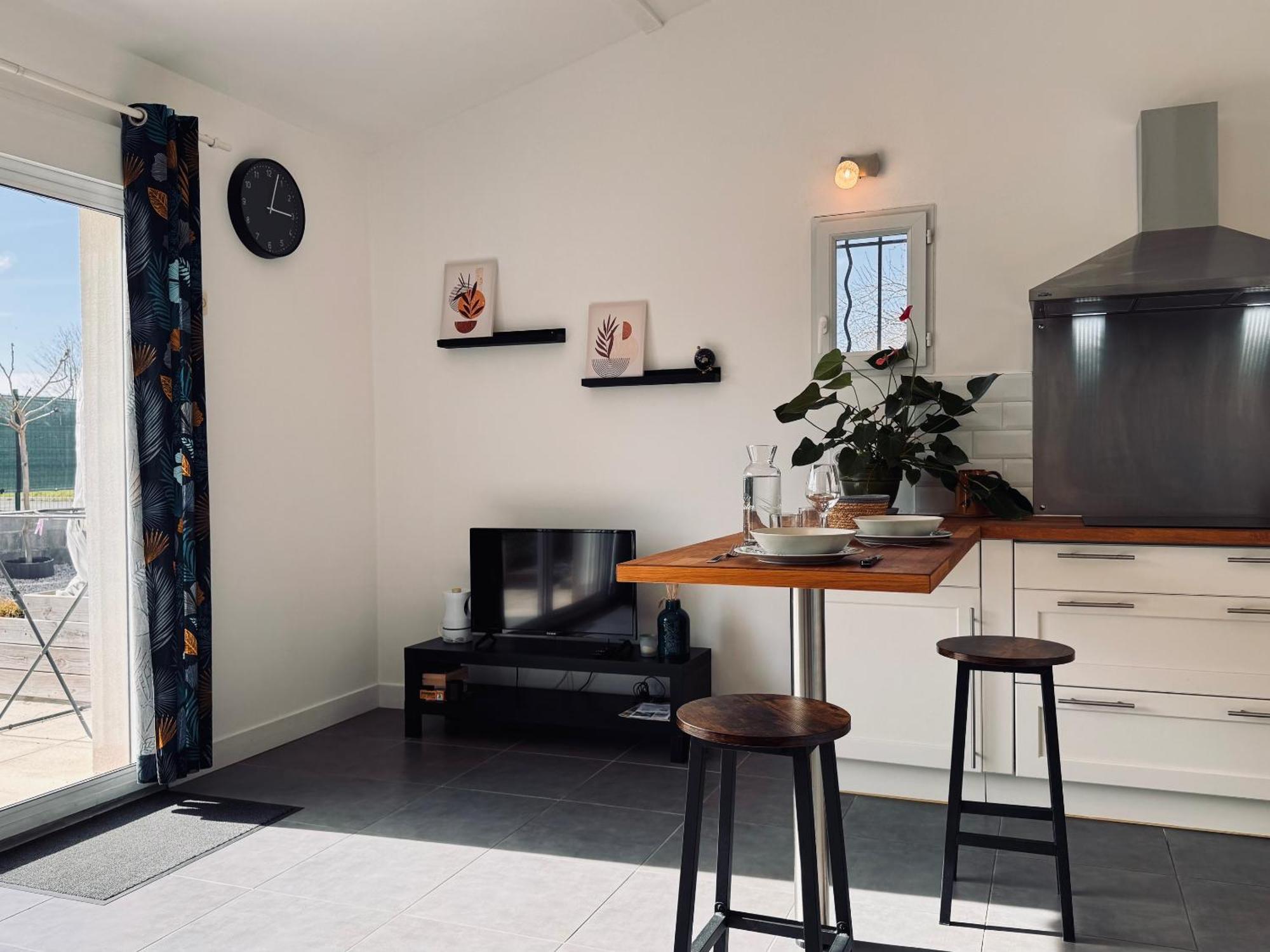 Appartement Le Cosy De La Ramee Tournefeuille Ngoại thất bức ảnh